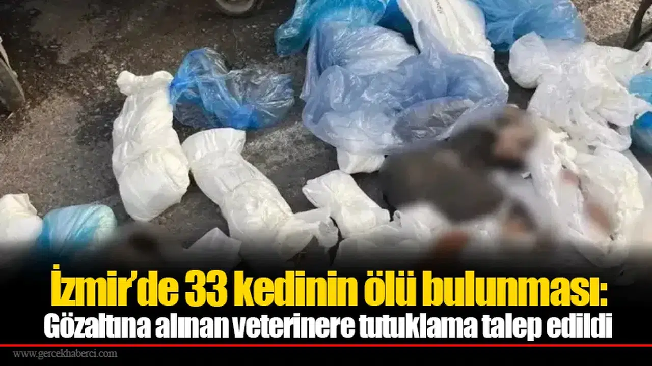 İzmir’de 33 kedinin ölü bulunması: Gözaltına alınan veterinere tutuklama talep edildi
