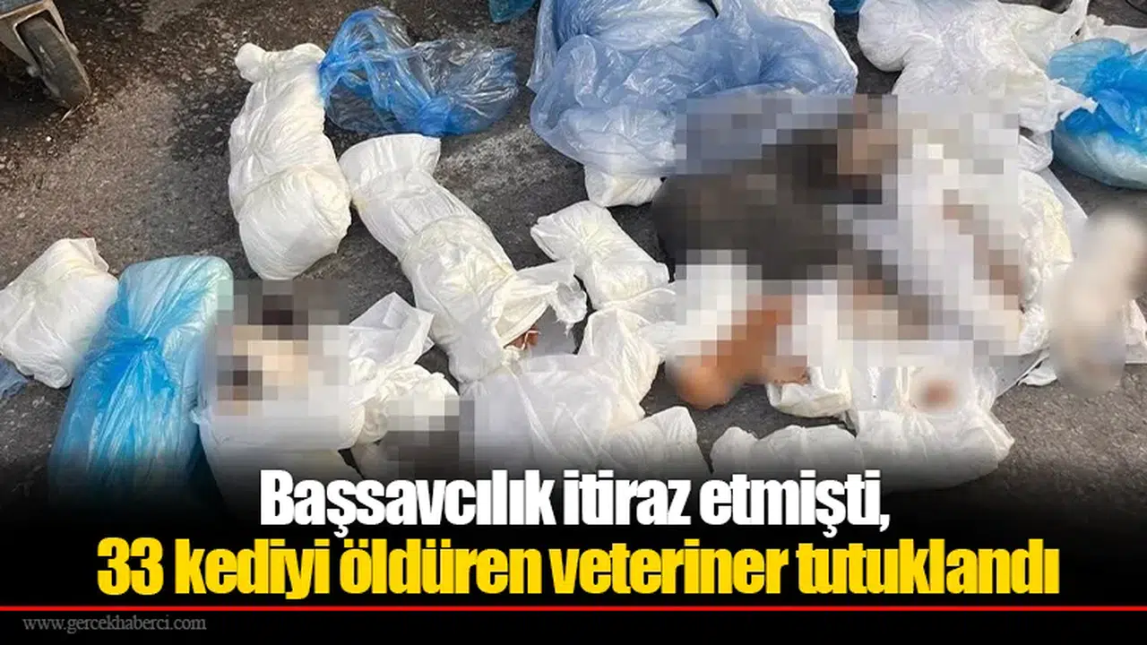Başsavcılık itiraz etmişti, 33 kediyi öldüren veteriner tutuklandı
