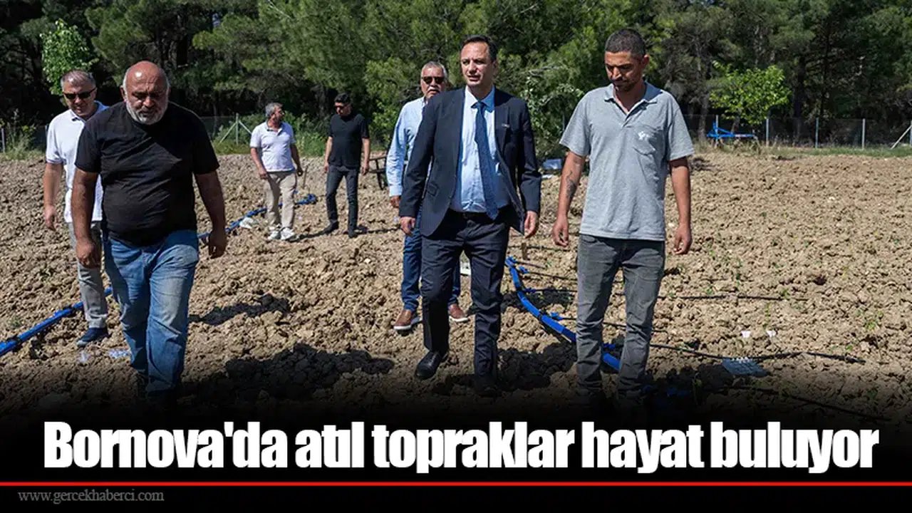 Bornova'da atıl topraklar hayat buluyor