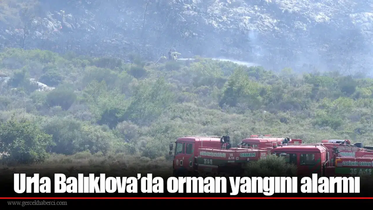 Urla Balıklova’da orman yangını alarmı