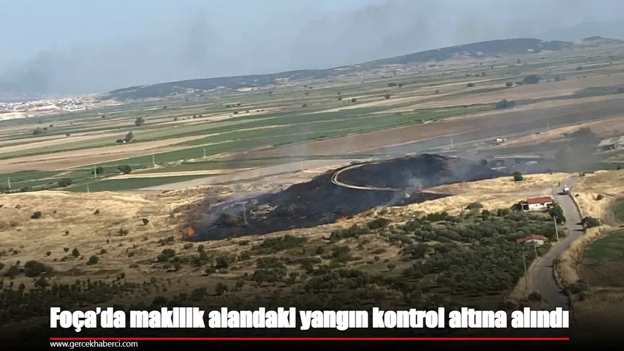 Foça’da makilik alandaki yangın kontrol altına alındı