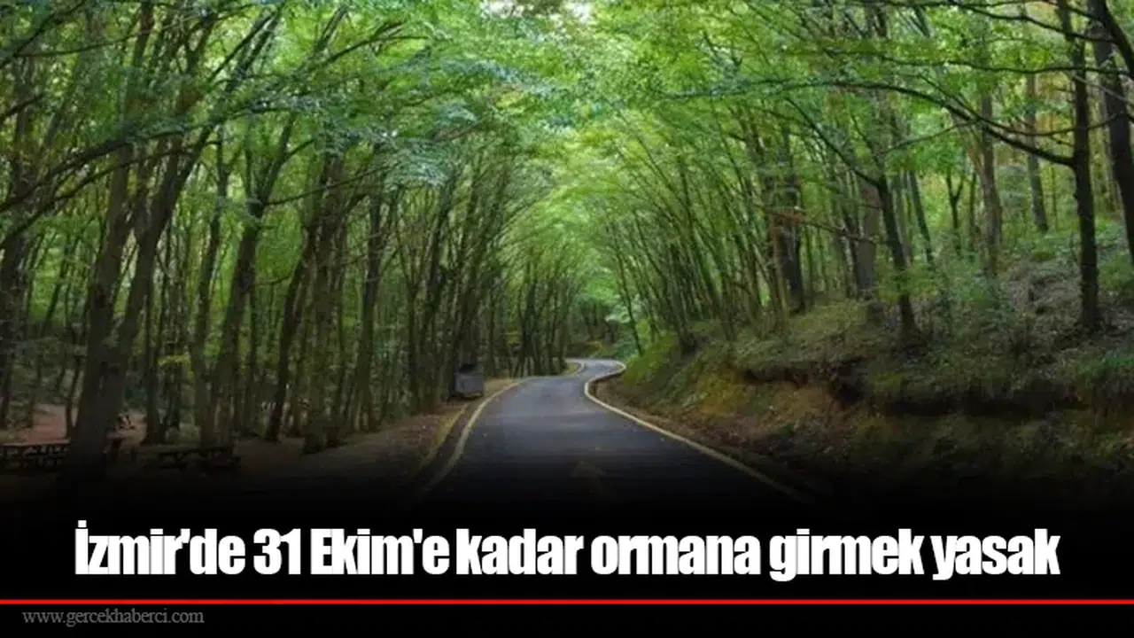İzmir'de 31 Ekim'e kadar ormana girmek yasak