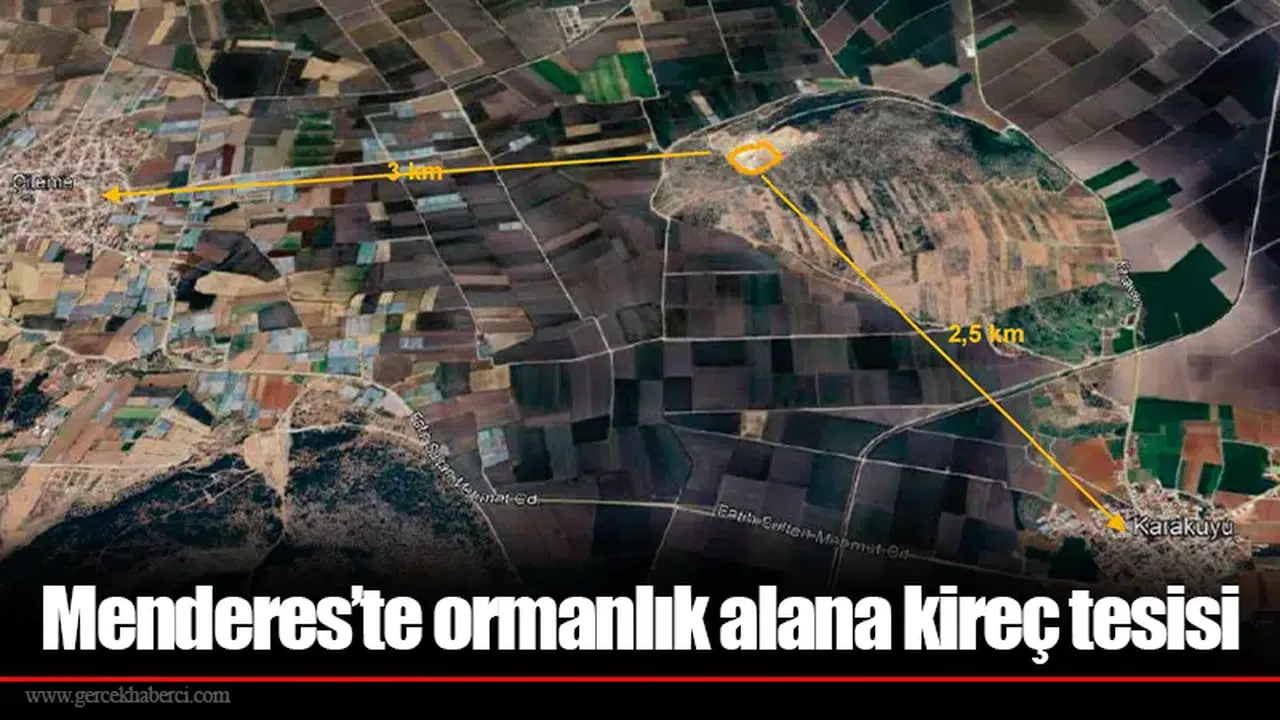 Menderes’te ormanlık alana kireç tesisi