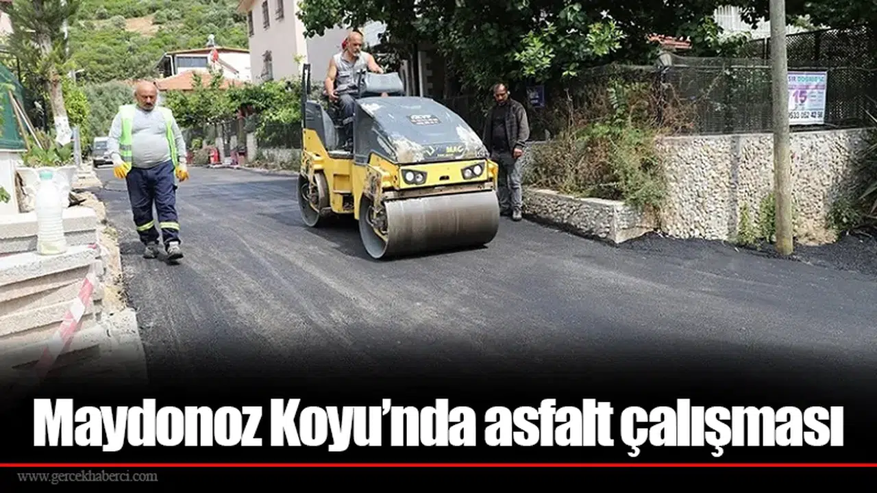 Maydonoz Koyu’nda asfalt çalışması