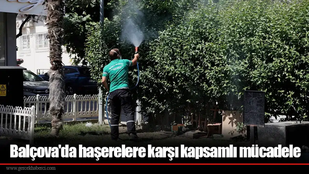Balçova'da haşerelere karşı kapsamlı mücadele