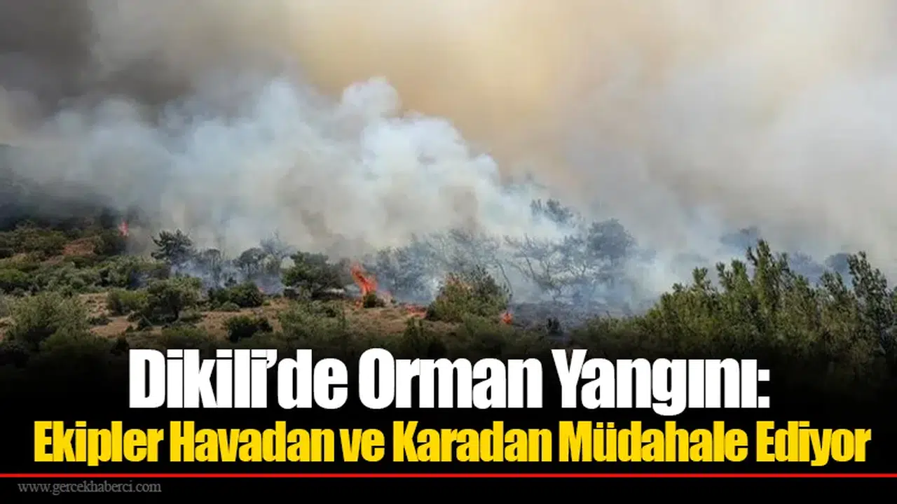 Dikili’de Orman Yangını: Ekipler Havadan ve Karadan Müdahale Ediyor
