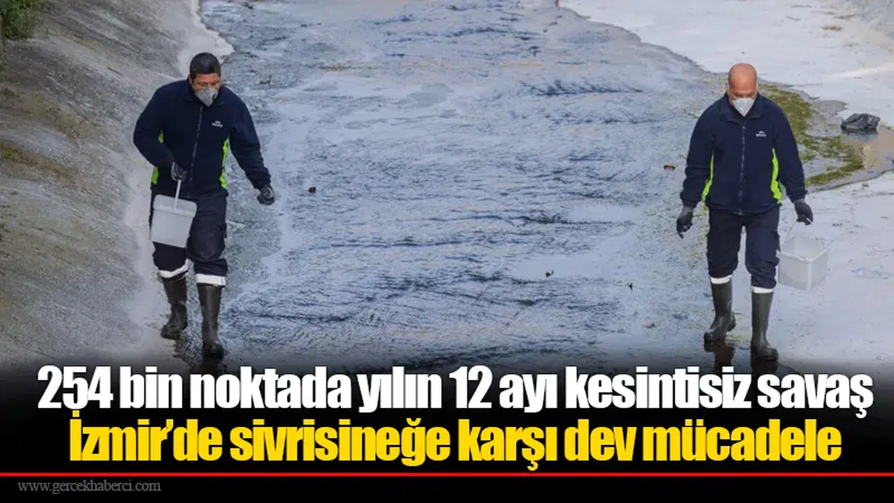 254 bin noktada yılın 12 ayı kesintisiz savaş:  İzmir’de sivrisineğe karşı dev mücadele