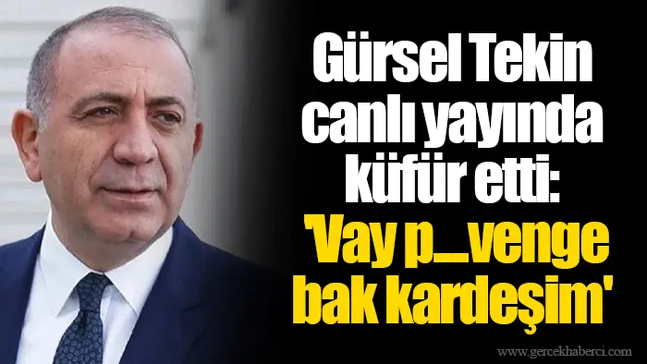 Gürsel Tekin canlı yayında küfür etti: 'Vay p....venge bak kardeşim'