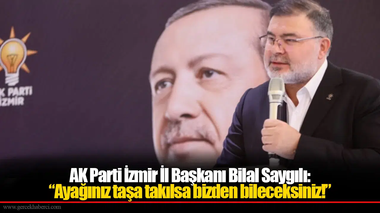 AK Parti'li Saygılı'dan CHP'li Gökçen'e "Avrupa Konseyi" Tepkisi: "Ayağınız Taşa Takılsa Bizden Bileceksiniz"