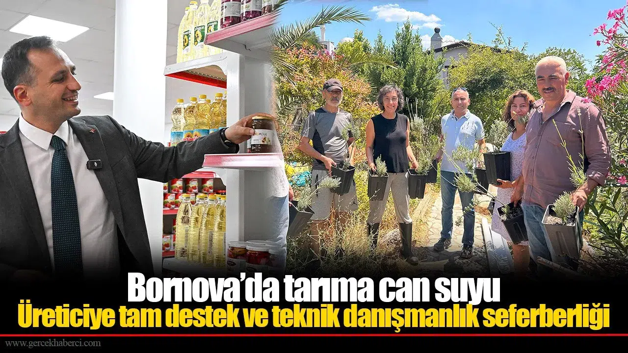 Üreticiye tam destek ve teknik danışmanlık seferberliği