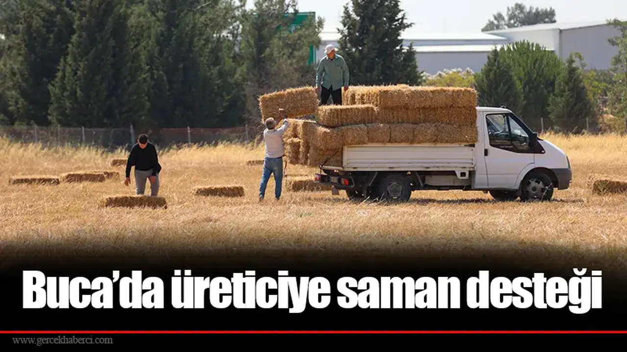 Buca’da üreticiye saman desteği