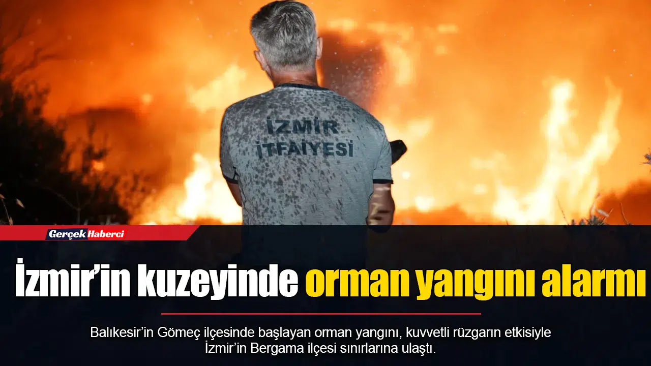 İzmir’in kuzeyinde orman yangını alarmı