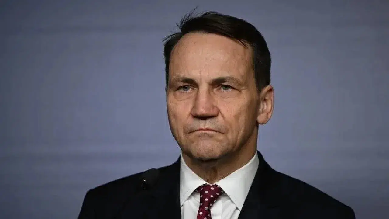 Polonya Dışişleri Bakanı Sikorski: Rusya’nın ülkemizde provokasyon hazırlığını biliyor ve caydırmak istiyoruz