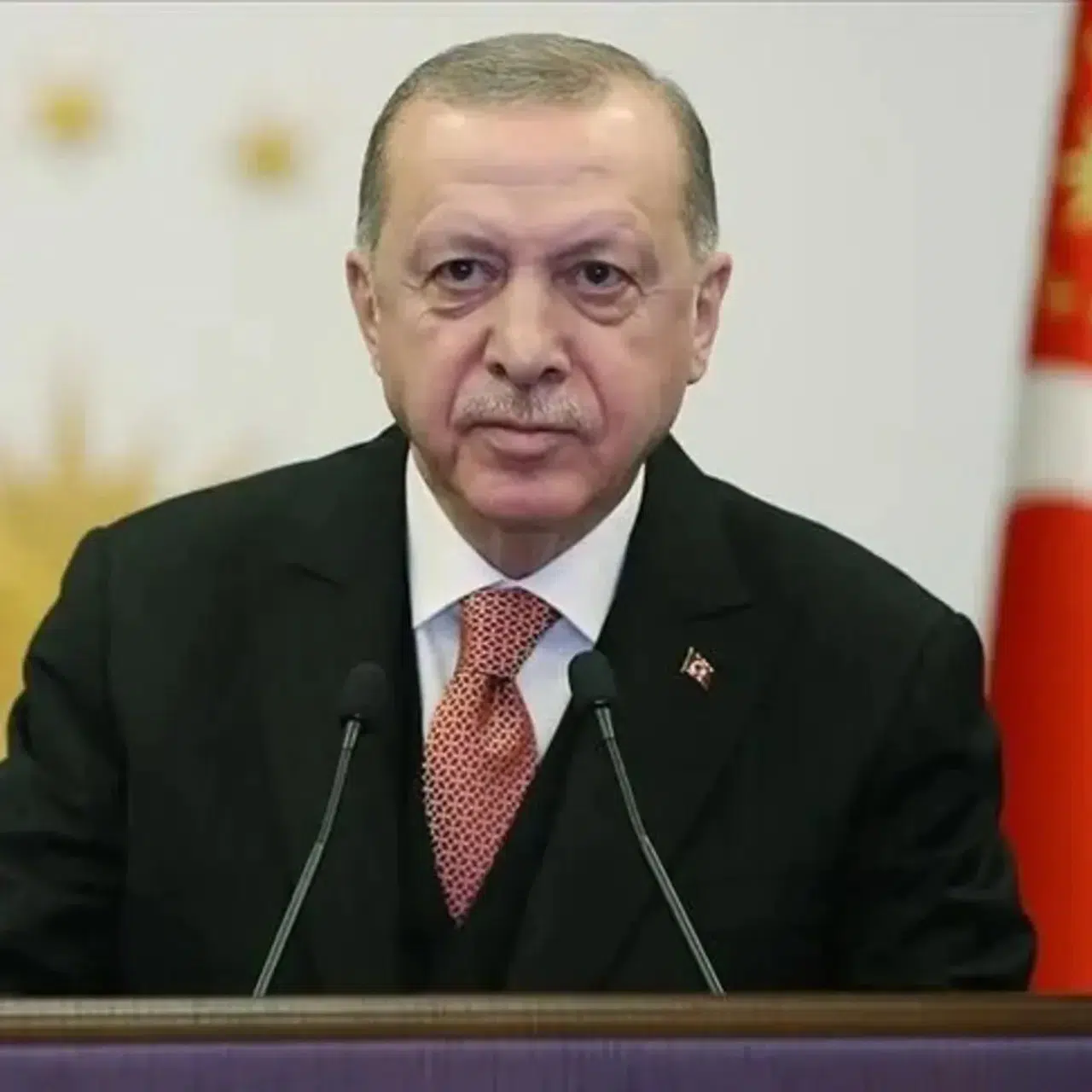 Erdoğan'dan 30 Ağustos Zafer Bayramı Özel Programında önemli açıklamalar