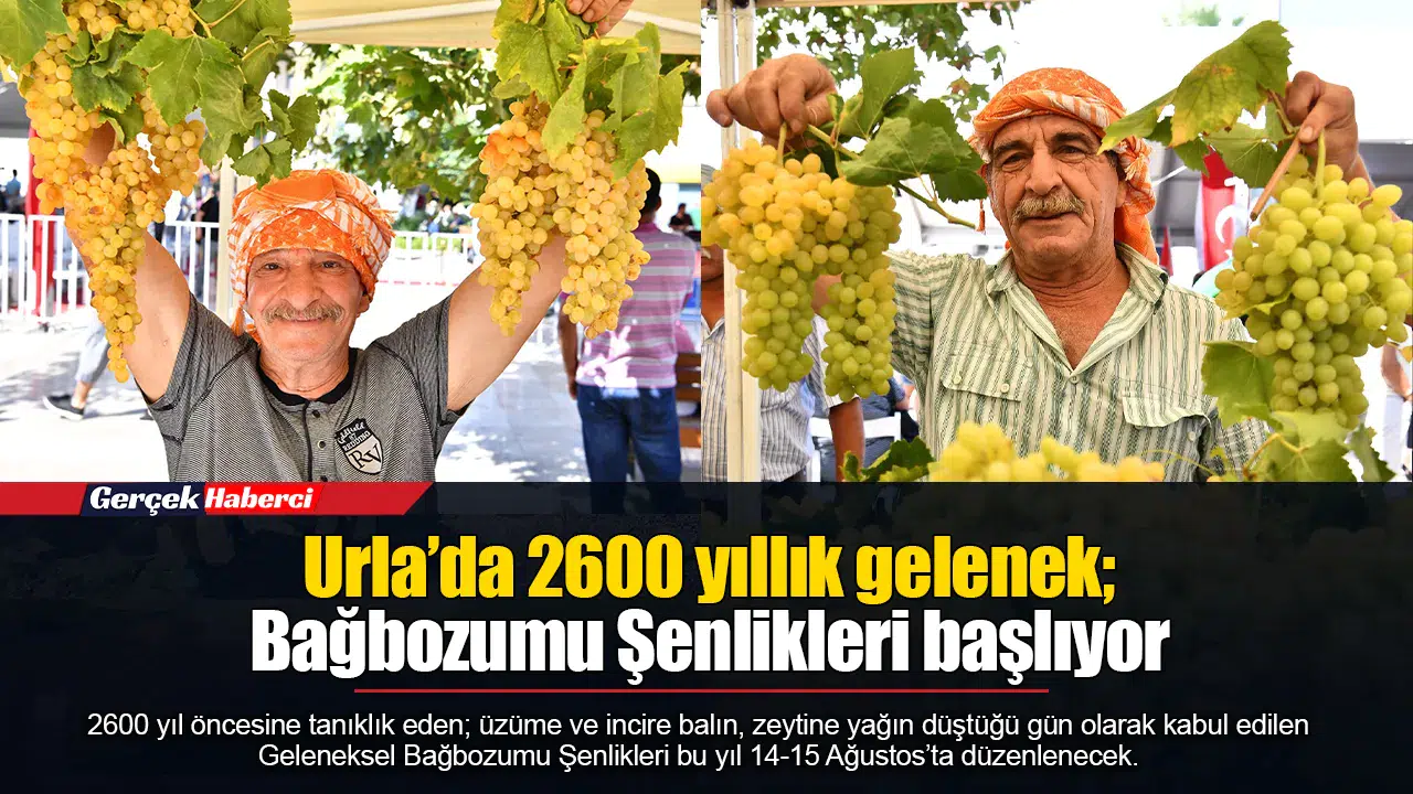 Urla’da 2600 yıllık gelenek; Bağbozumu Şenlikleri başlıyor