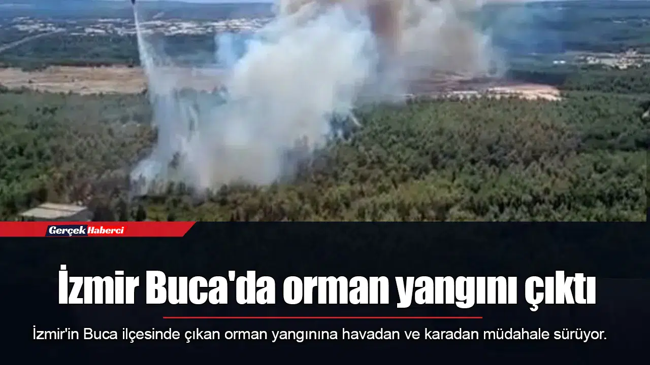 İzmir Buca'da orman yangını çıktı