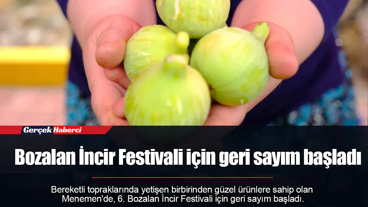 Bozalan İncir Festivali için geri sayım başladı