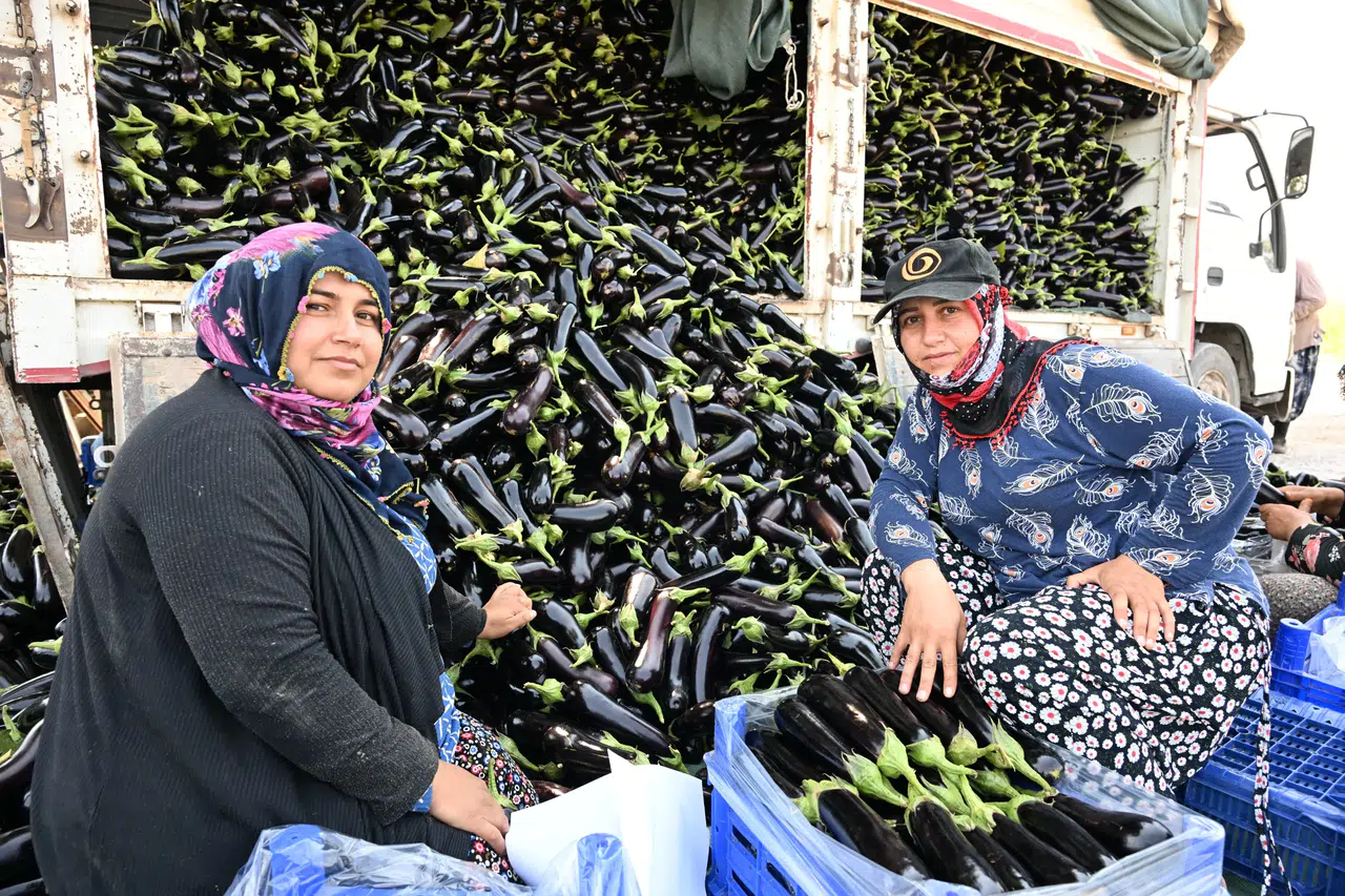 Manisa Büyükşehir Belediyesi Afetzede Çiftçinin Yüzünü Güldürdü