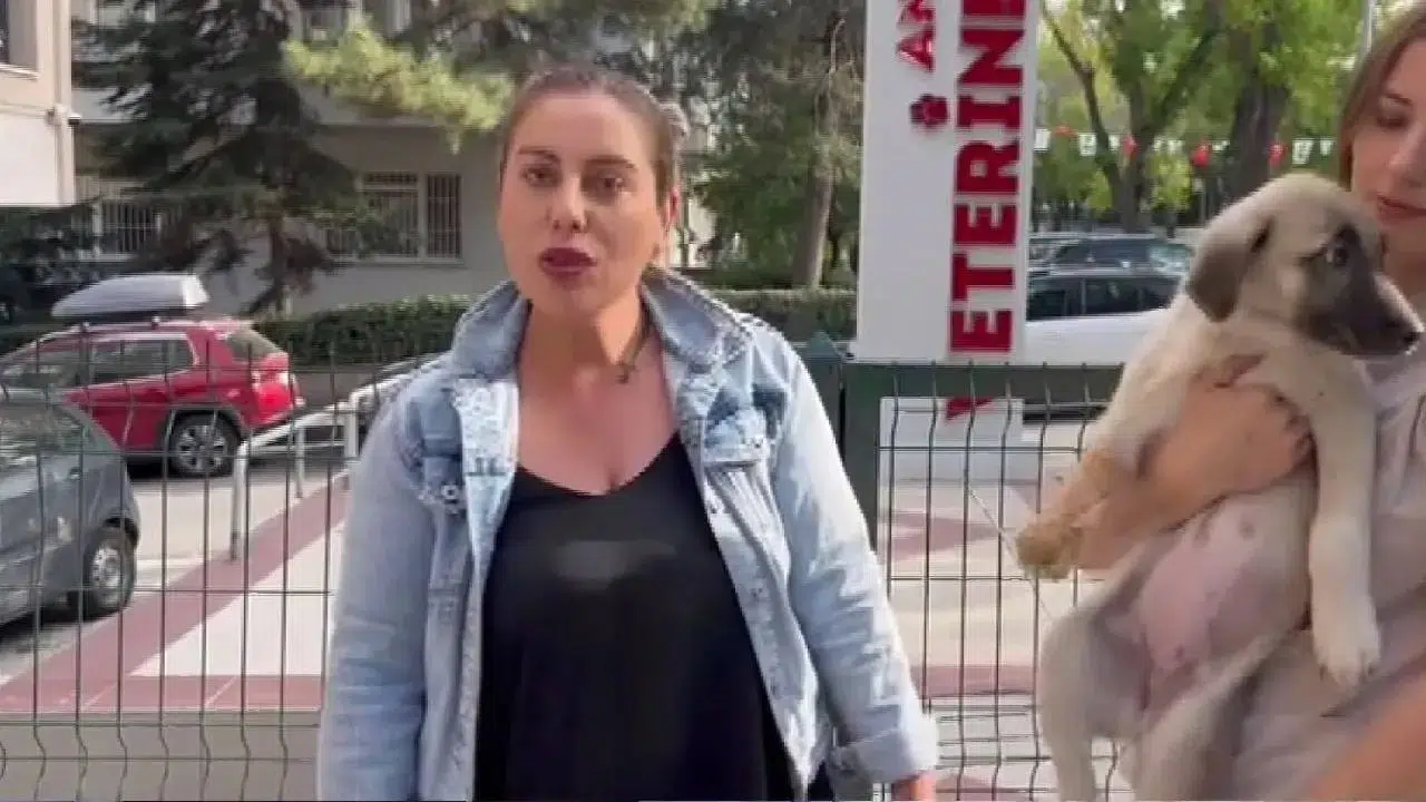 Hayvanları Koruma Derneği Başkanı Gülay Akgün Mutlu'nun katil zanlısı Kırıkkale'de gözaltına alındı
