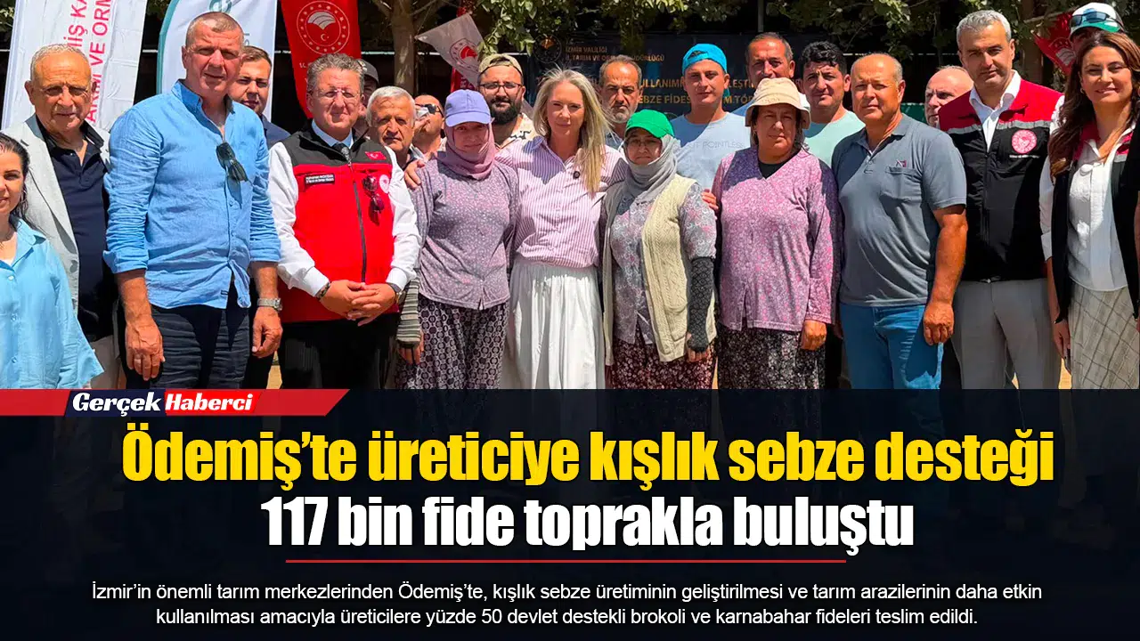 Ödemiş’te üreticiye kışlık sebze desteği:  117 bin fide toprakla buluştu