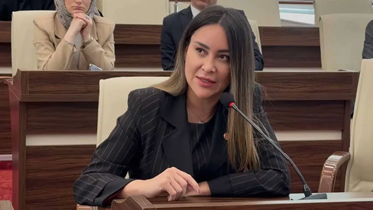 CHP'li meclis üyesi Hülya Şimşek azmettiricilik suçlamasıyla tutuklandı