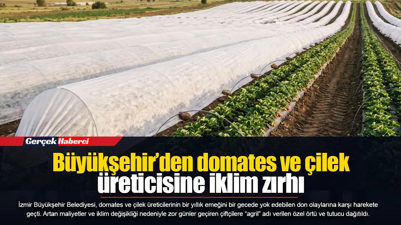Büyükşehir’den domates ve çilek üreticisine iklim zırhı