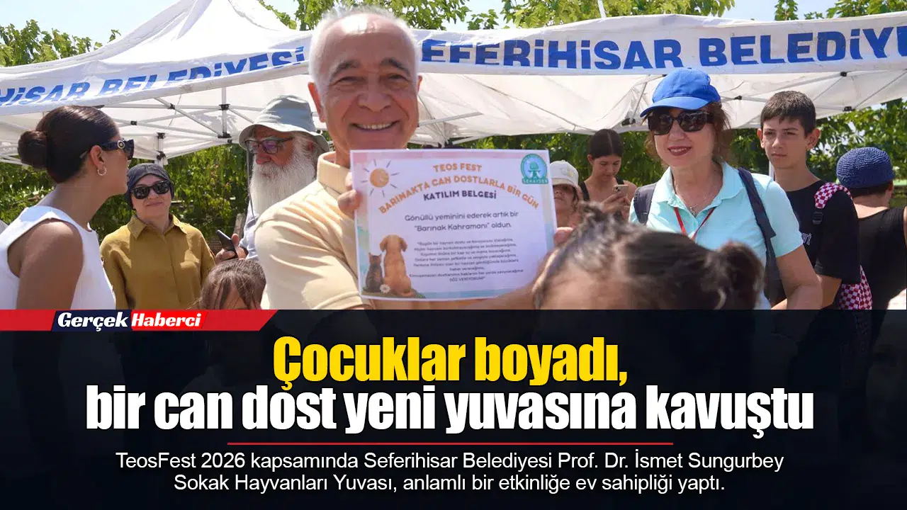 Çocuklar boyadı, bir can dost yeni yuvasına kavuştu