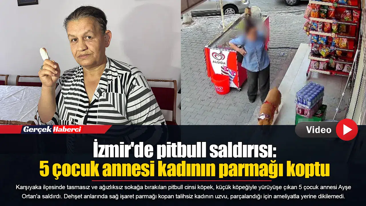 İzmir'de pitbull saldırısı: 5 çocuk annesi kadının parmağı koptu