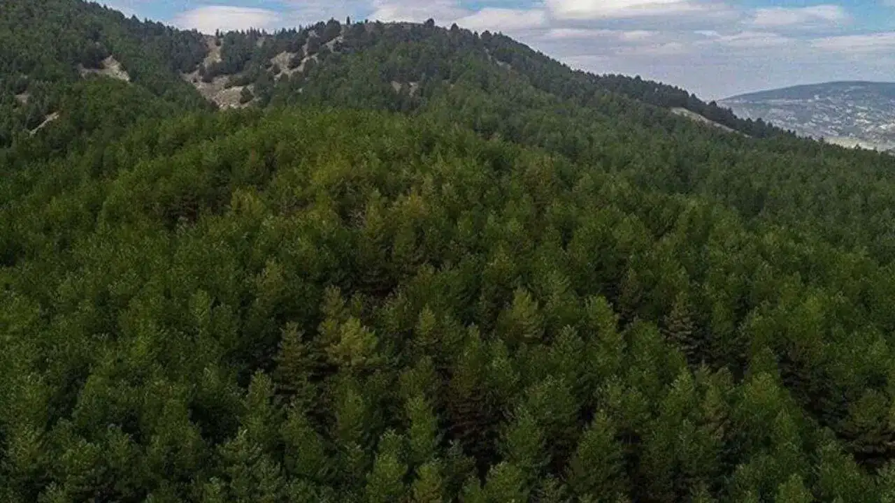 Cumhurbaşkanı kararıyla 27 ilde bazı alanlar orman sınırları dışına çıkarıldı