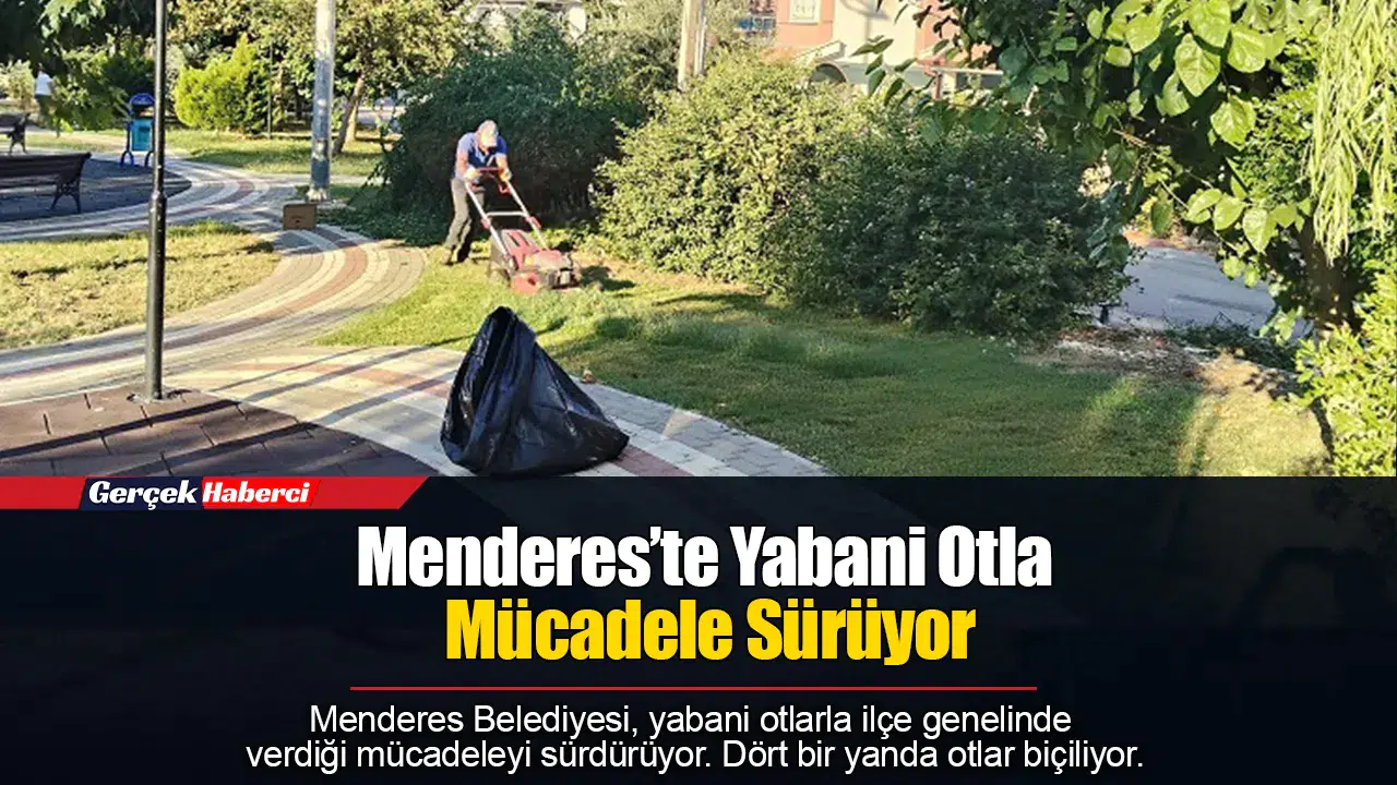 Menderes’te Yabani Otla Mücadele Sürüyor