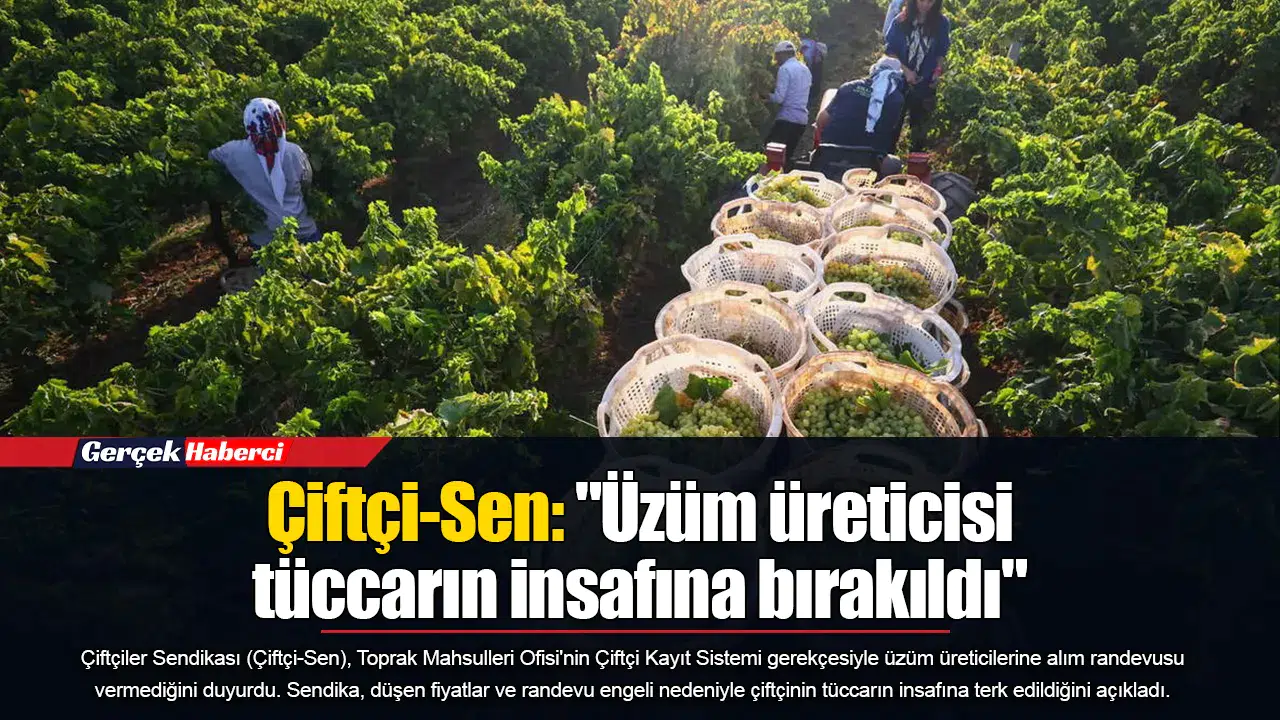 Çiftçi-Sen: "Üzüm üreticisi tüccarın insafına bırakıldı"