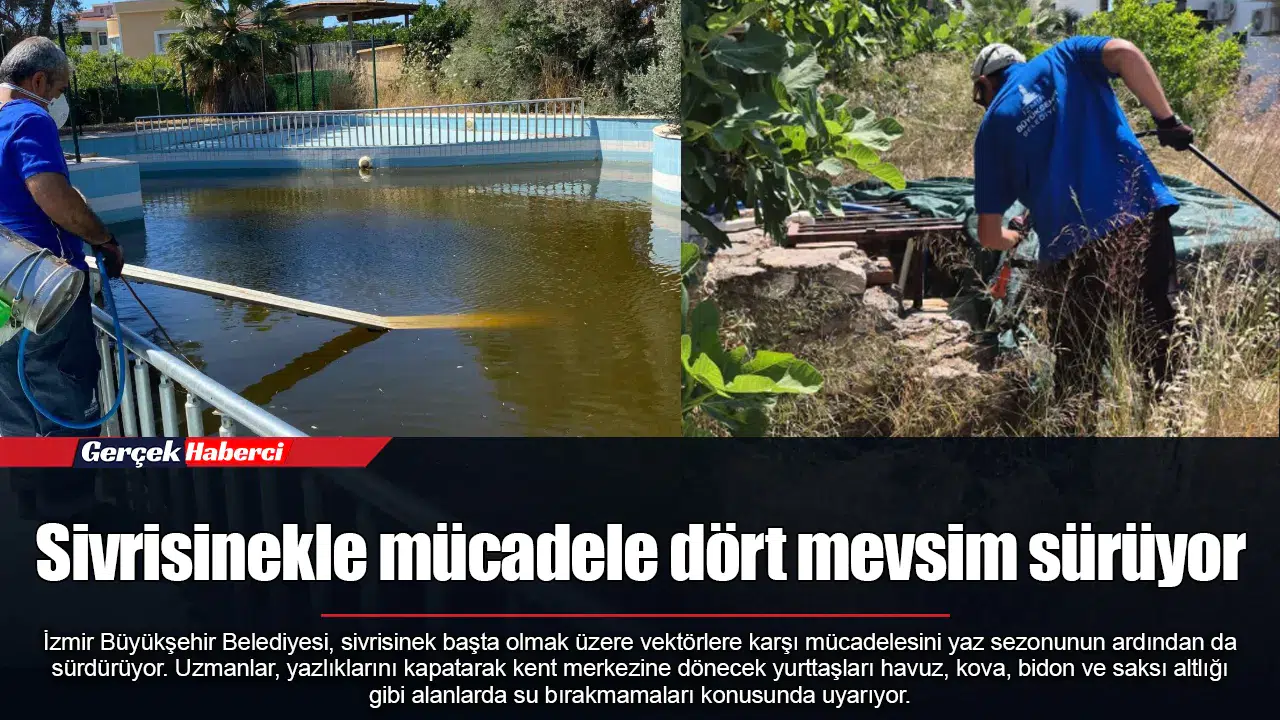 Sivrisinekle mücadele dört mevsim sürüyor