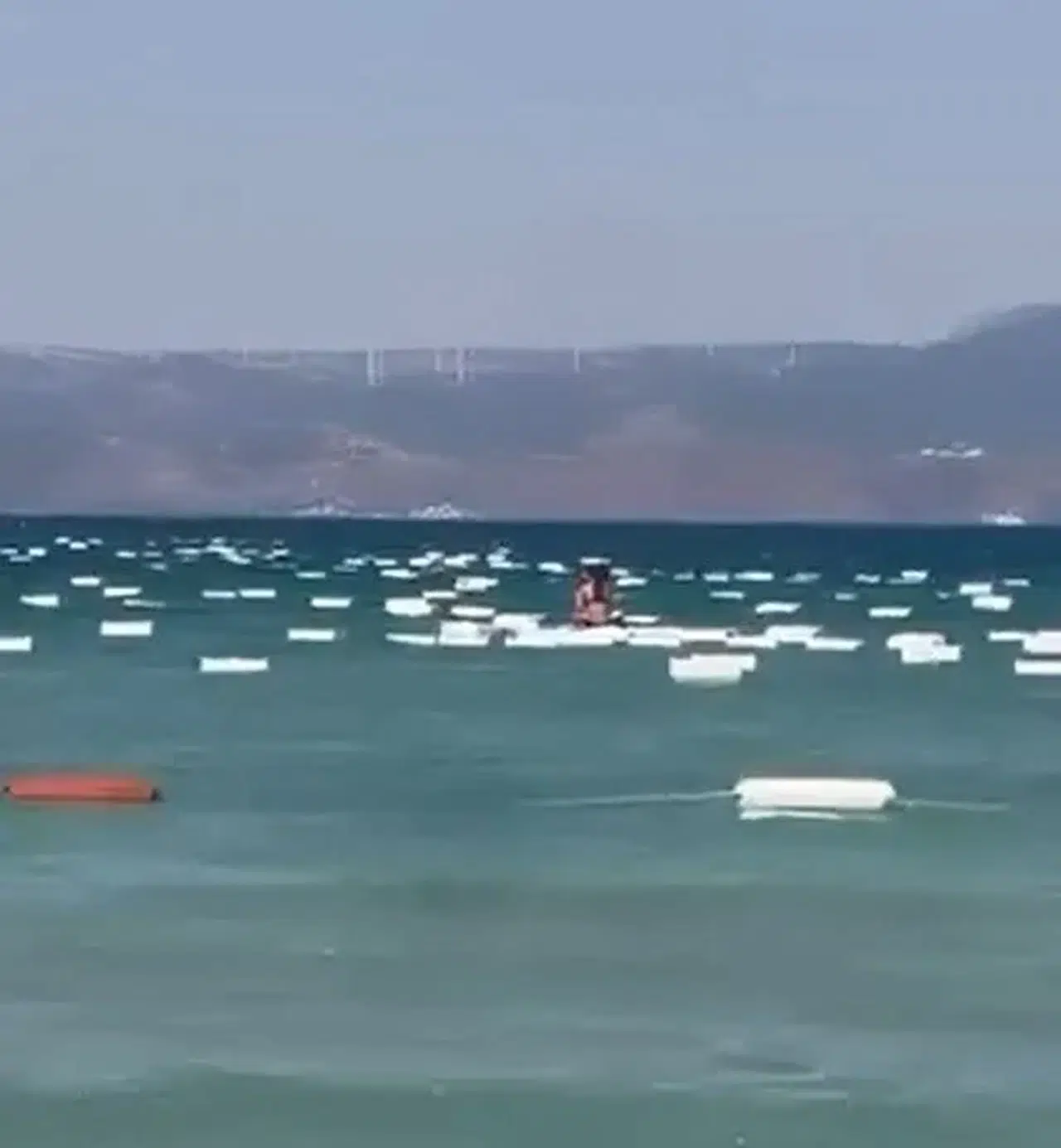 Çeşme Paşalimanı sahilini yüzlerce köpük kutu sardı