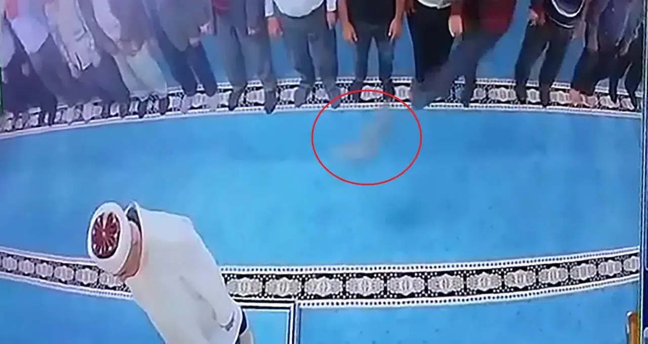 Erzurum'da camide kedi tekmeleyen kişi gözaltına alındı