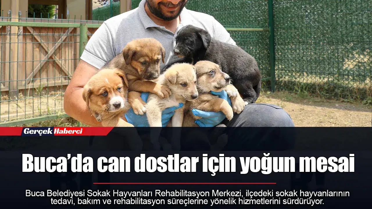 Buca’da can dostlar için yoğun mesai