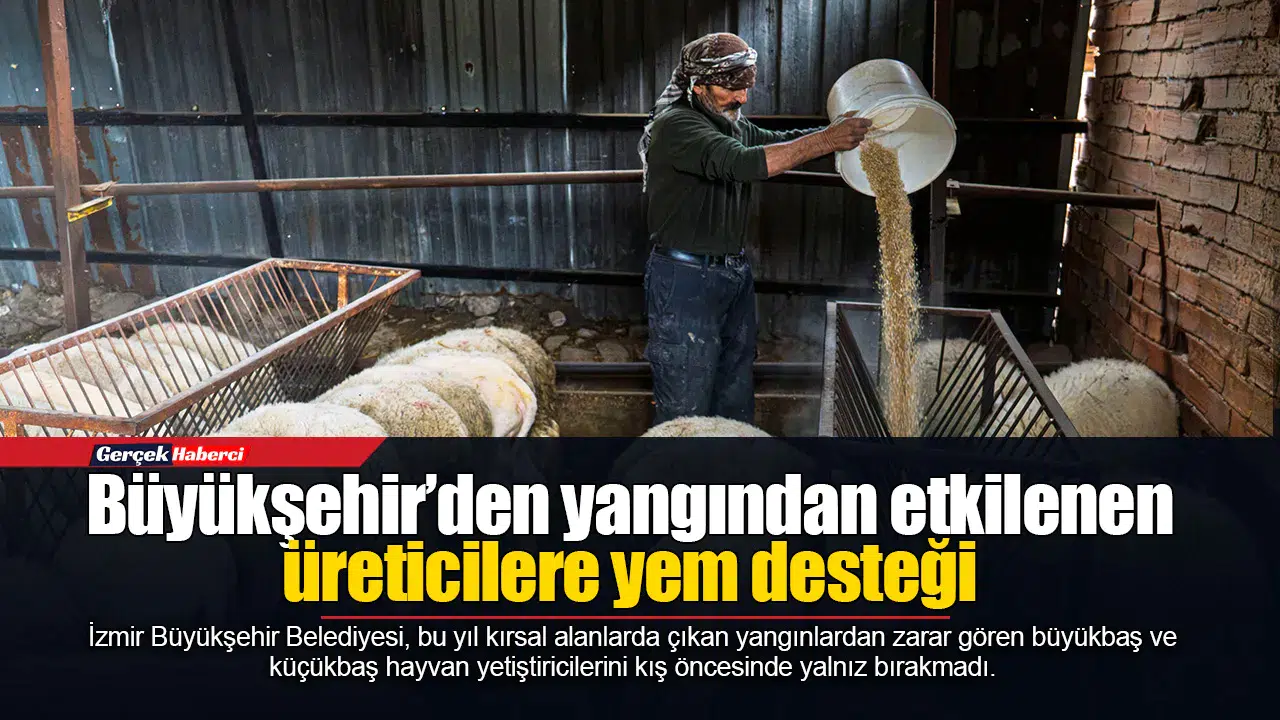 Meraları yanan çiftçiye kış öncesi destek