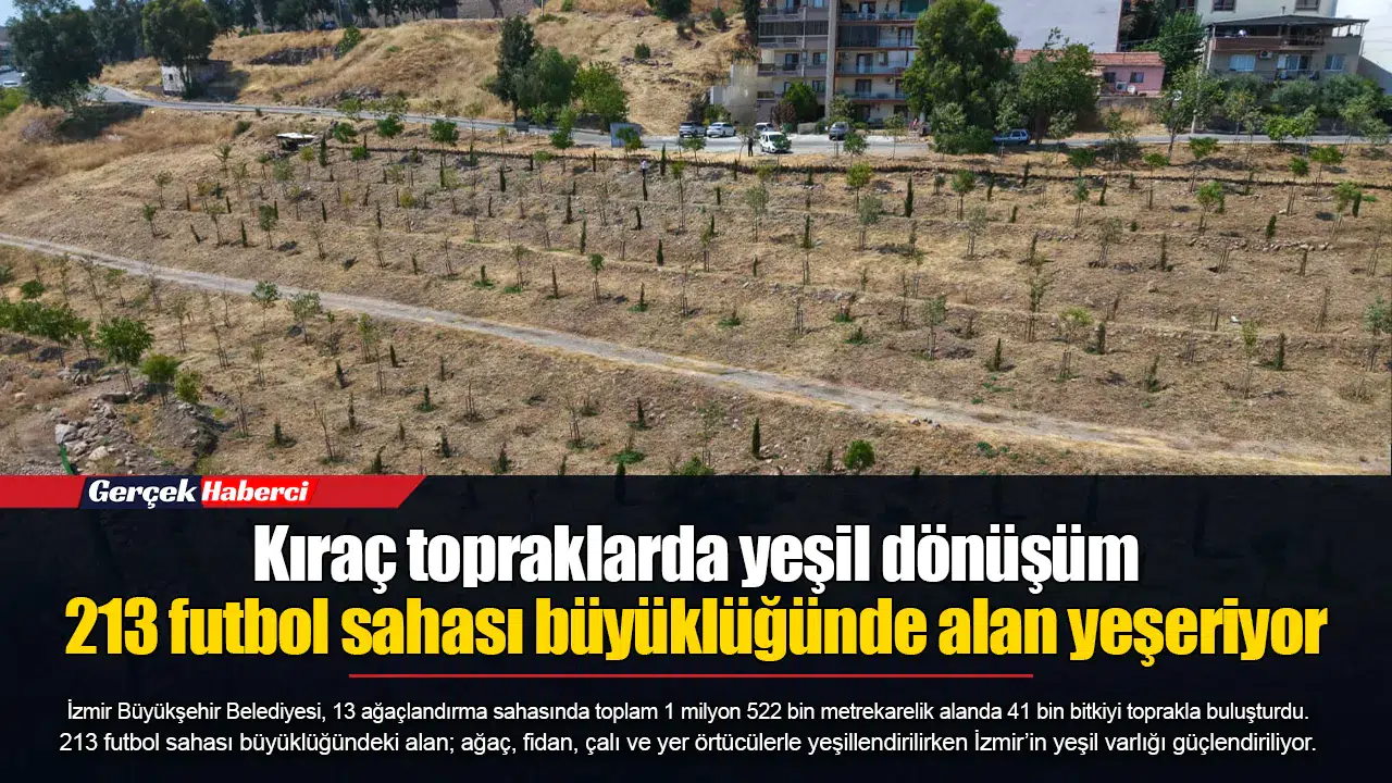 Kıraç topraklarda yeşil dönüşüm... 213 futbol sahası büyüklüğünde alan yeşeriyor