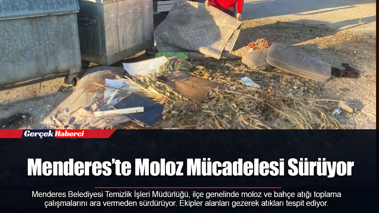 Menderes’te Moloz Mücadelesi Sürüyor