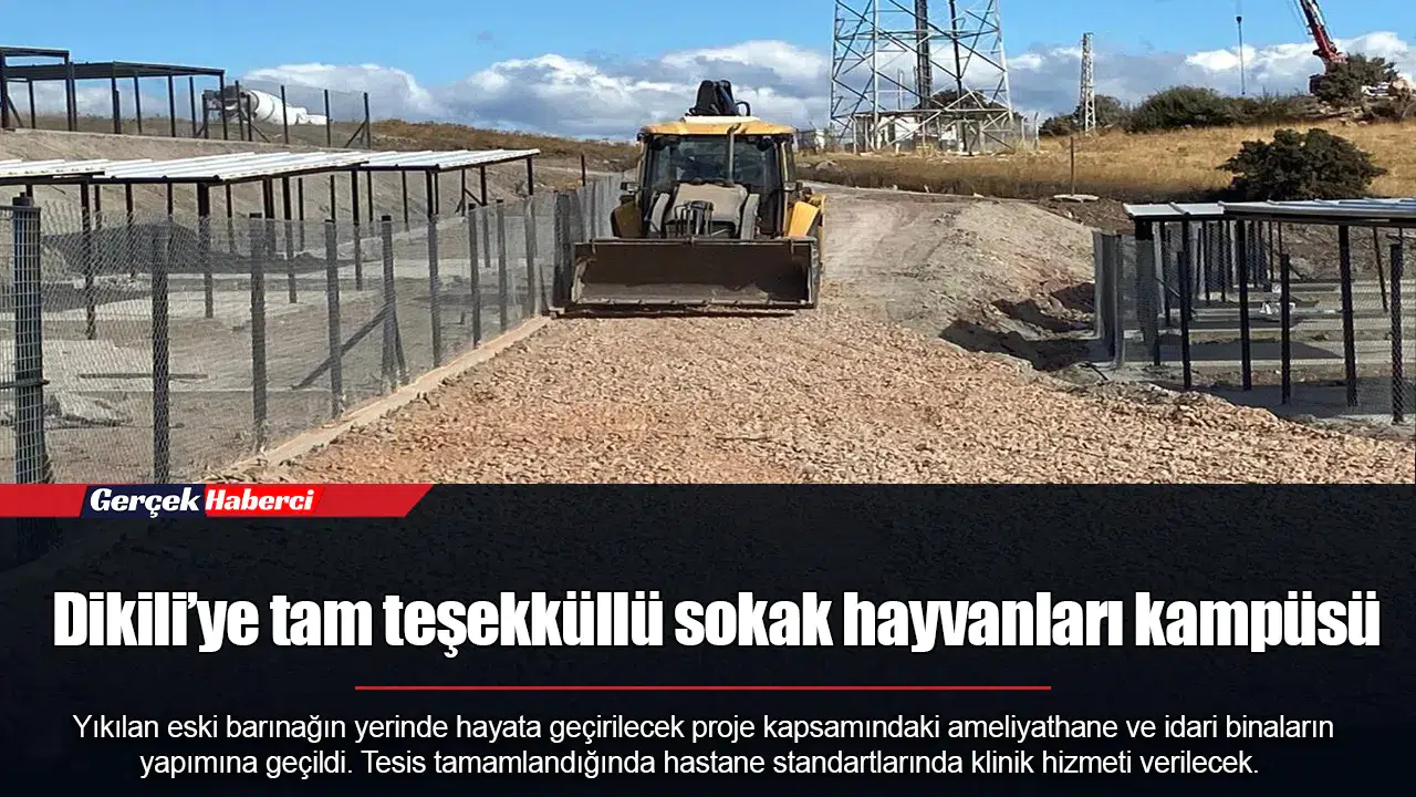 Dikili’ye tam teşekküllü sokak hayvanları kampüsü
