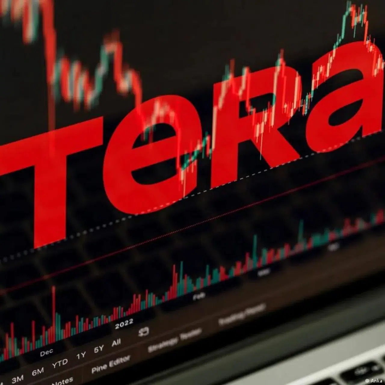Türkiye Sigorta ve Hayat Emeklilik'in Tera fonlarına aktardığı tutar belirsiz