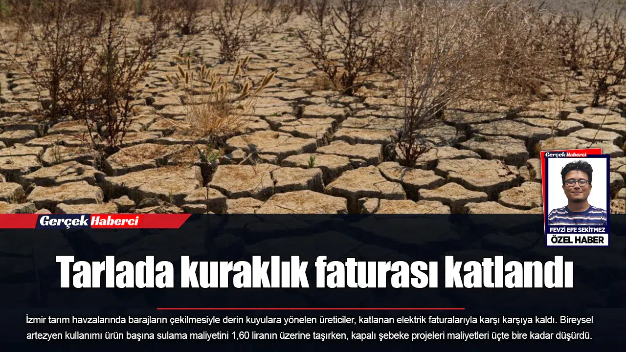 Tarlada kuraklık faturası katlandı