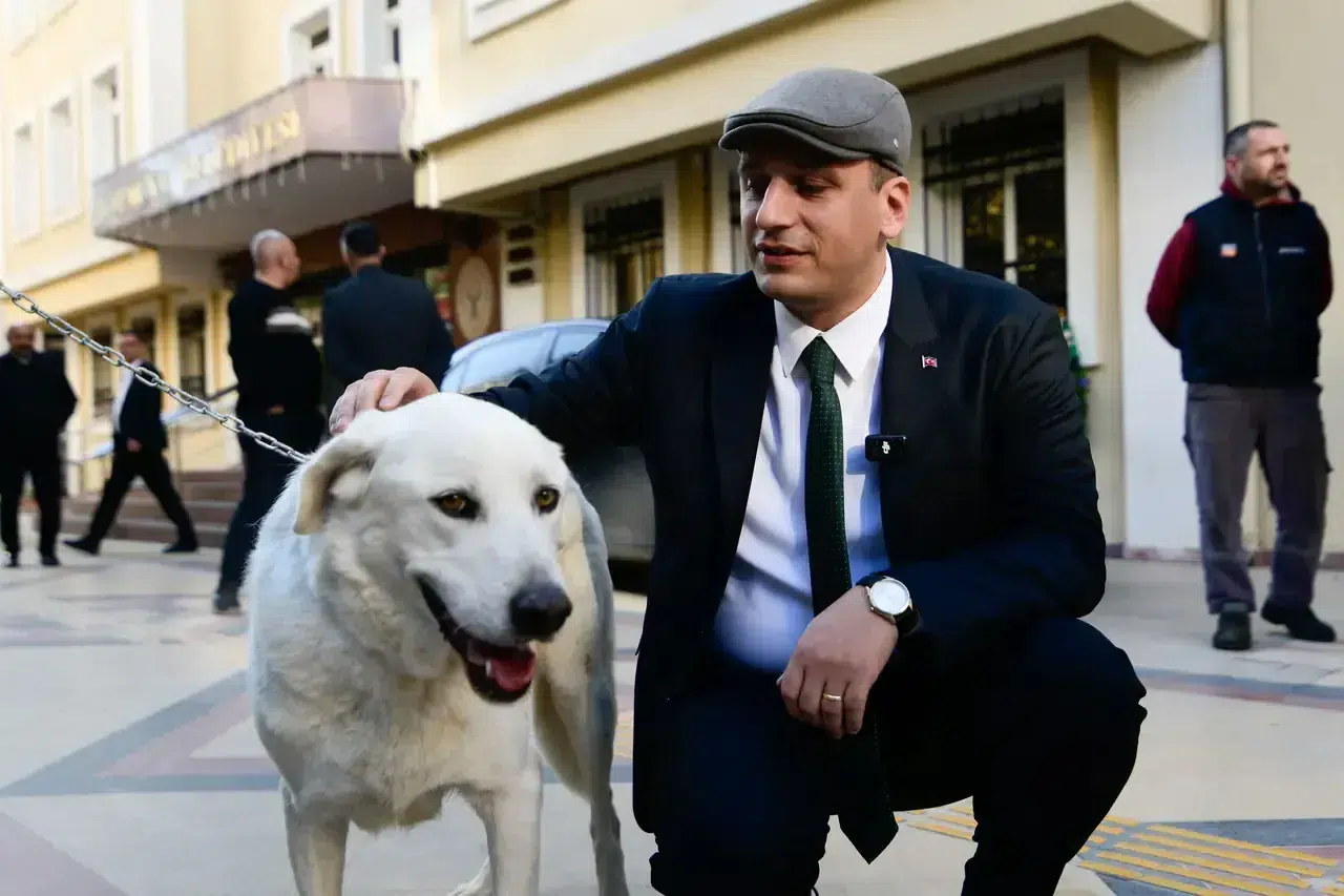 Ege Üniversitesindeki 83 köpek belediyenin hayvan bakım yerleşkesine alındı