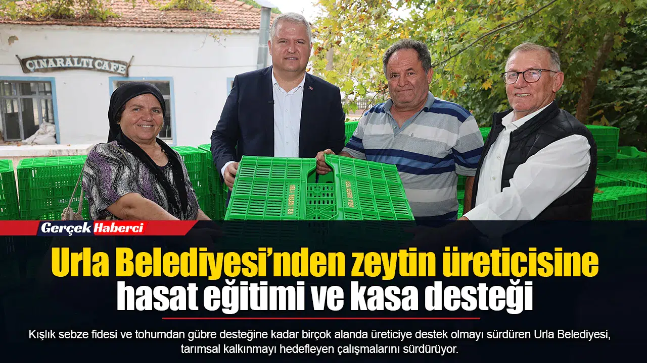 Urla Belediyesi’nden zeytin üreticisine hasat eğitimi ve kasa desteği