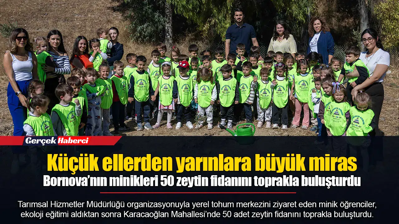 Bornova’nın minikleri 50 zeytin fidanını toprakla buluşturdu