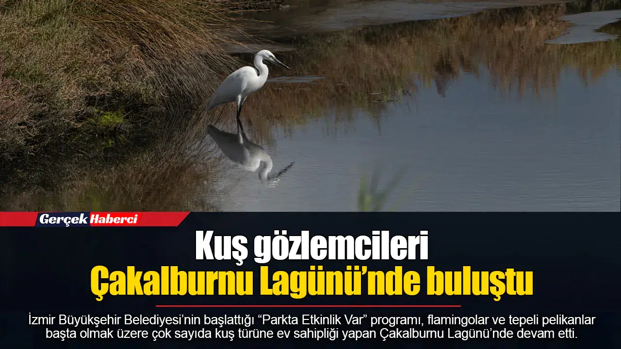 Kuş gözlemcileri Çakalburnu Lagünü’nde buluştu