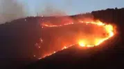 Karşıyaka'da rüzgar yangını büyütüyor, ekipler bölgede