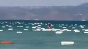 Çeşme Paşalimanı sahilini yüzlerce köpük kutu sardı