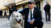 Ege Üniversitesindeki 83 köpek belediyenin hayvan bakım yerleşkesine alındı