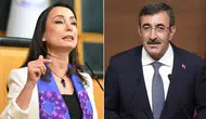DEM Partili Hatimoğulları, Cevdet Yılmaz'a sert sözlerle yüklendi: 'Hatırlatınca zorunuza gitmesin'