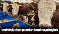 İzmir'de kurban pazarları kurulmaya başladı